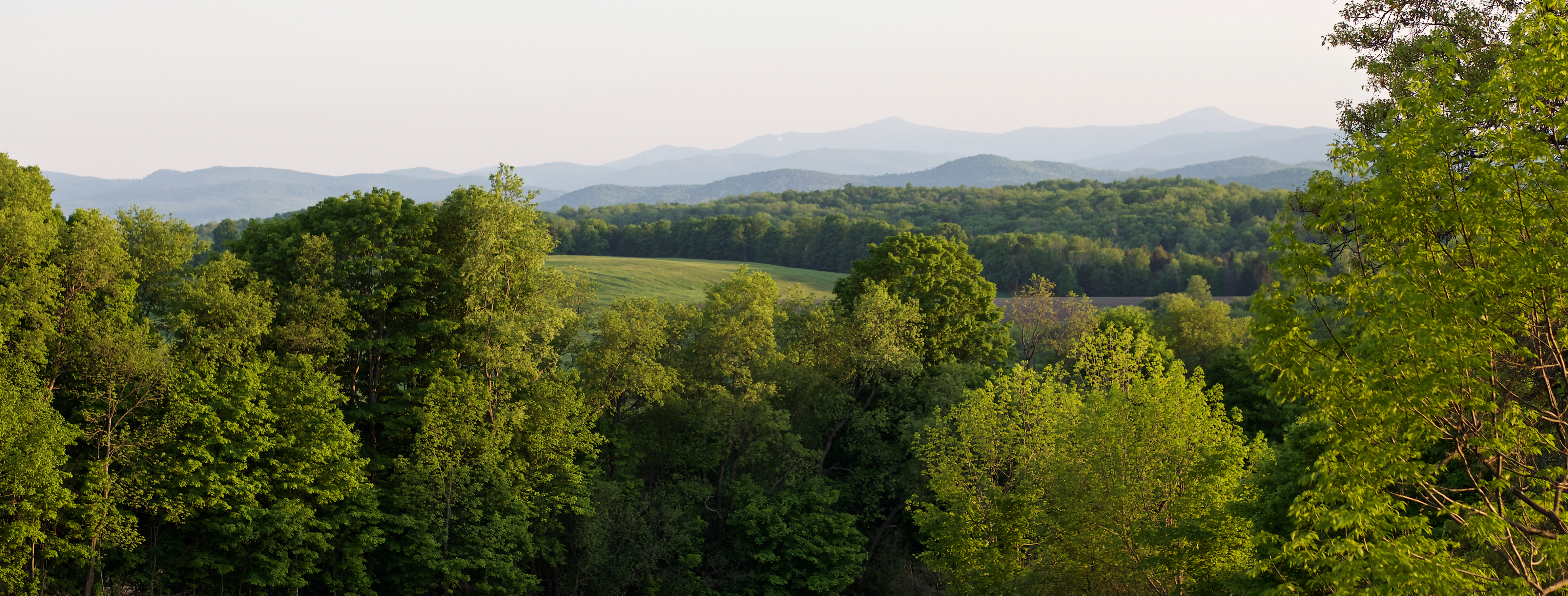 A wide landscape photo of green trees, rolling hills, and mountains in the background